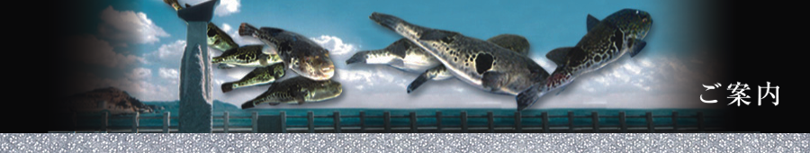 メインイメージ